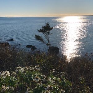 Meet your Posher, Krista